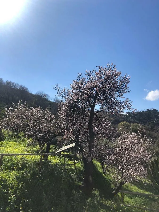 Villa Rica Patti 0*,  Italien